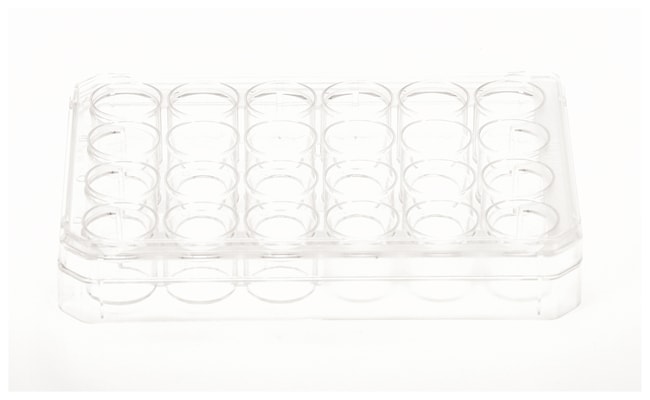 Thermo Scientific Nunc Multischalen mit