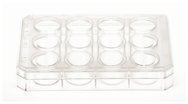 Thermo Scientific Nunc Multischalen mit