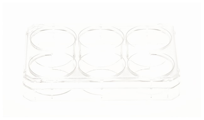 Thermo Scientific Nunc Multischalen mit