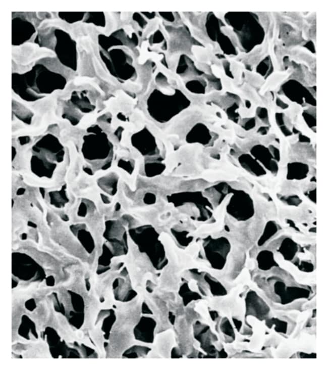 MilliporeSigma Durapore Membranfilter, A