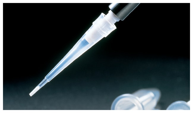 MilliporeSigma ZipTip Pipettenspitzen, B