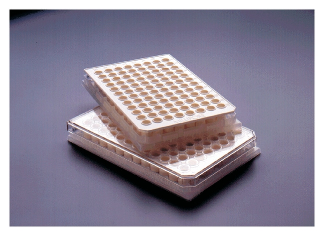 MilliporeSigma MultiScreen 96-Well Assay