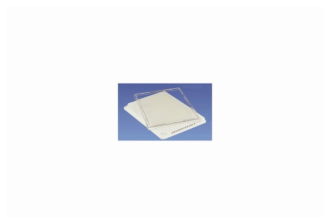 Thermo Scientific Nunc Deckel fu¨r Mikro