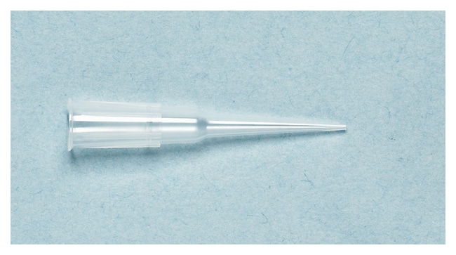 Thermo Scientific Automatisierungsspitze