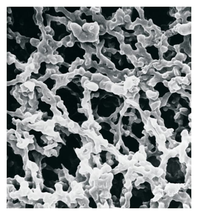MilliporeSigma Hydrophile Membranfilter