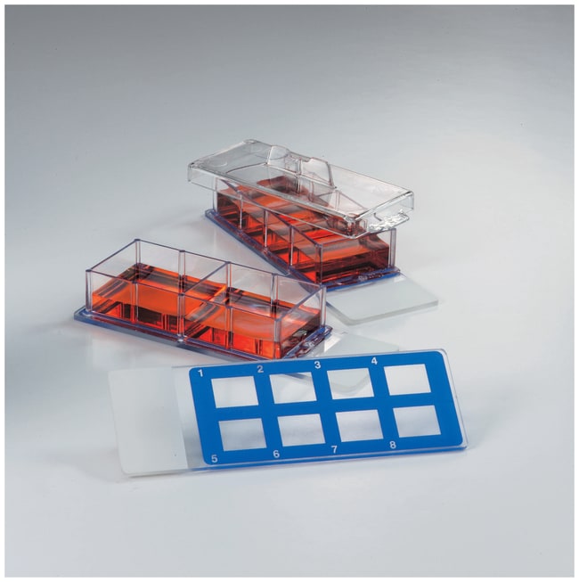 Falcon Chambered Cell Culture Slides, Ku