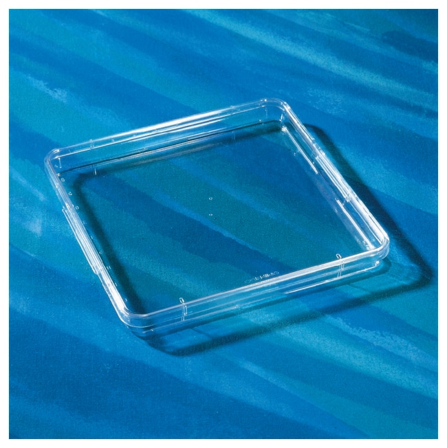 Corning Quadratische 245 mm-BioAssay-Sch