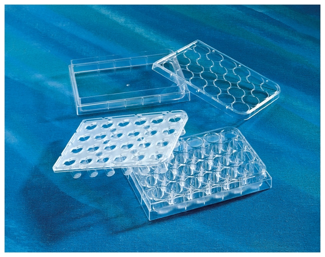 Corning Costar HTS Transwell-24 Systeme,