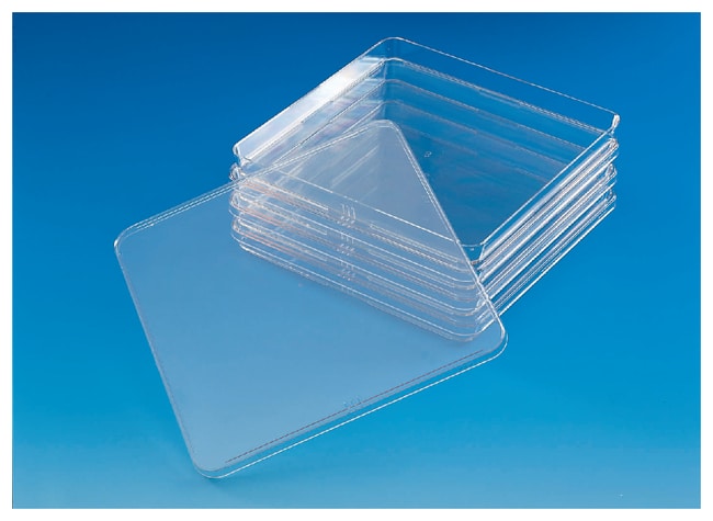 Biologische Testschale Low Profile, ster