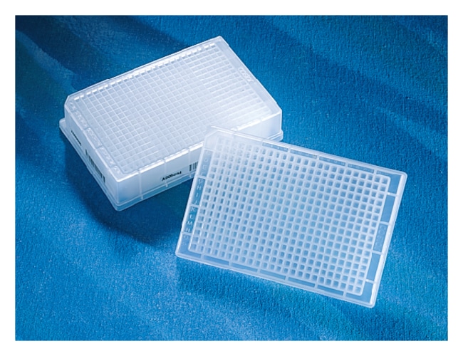 Corning Costar 384-Well Aufbewahrungsblo
