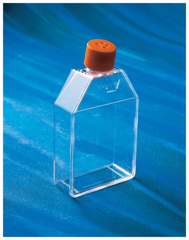 Corning Cell Culture Treated Flasks, Kap