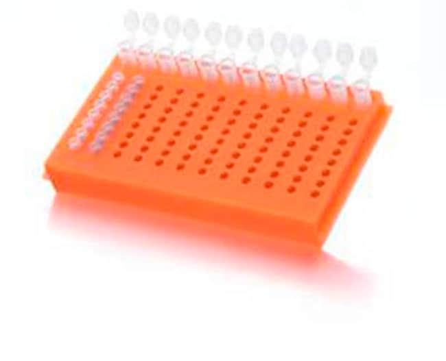 X12 FLIPSTRIP GESTELL ORANGE FLIPSTRIP