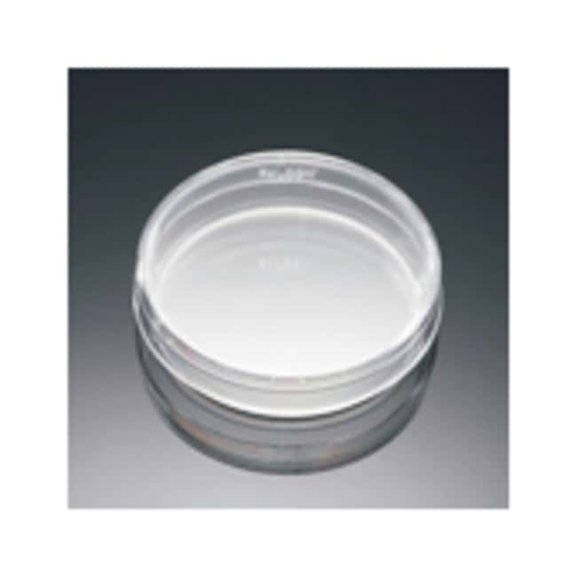 Corning BioCoat Collagen I, Rat Tail Kul