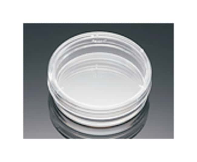 Corning BioCoat Collagen I, Rat Tail Kul