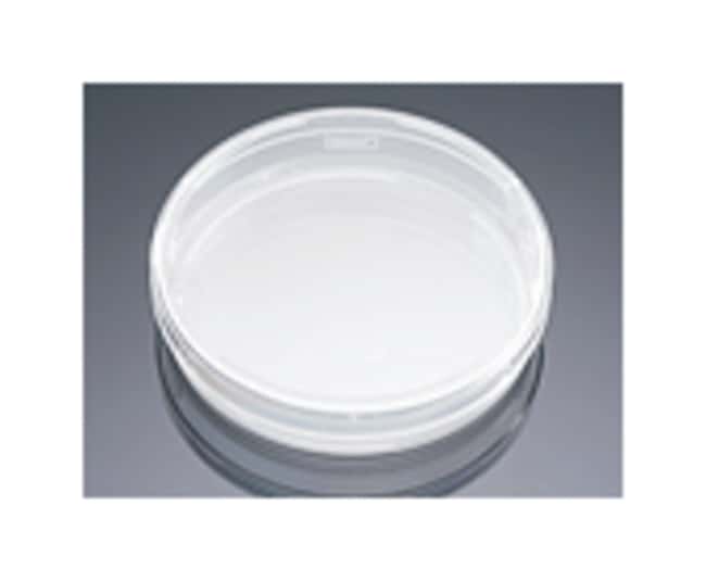 Corning BioCoat Collagen I, Rat Tail Kul