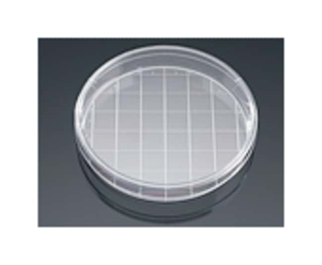 Corning BioCoat Collagen I, Rat Tail Kul