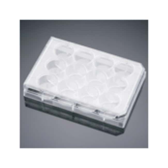 Corning BioCoat Poly-D-Lysine Multiwell