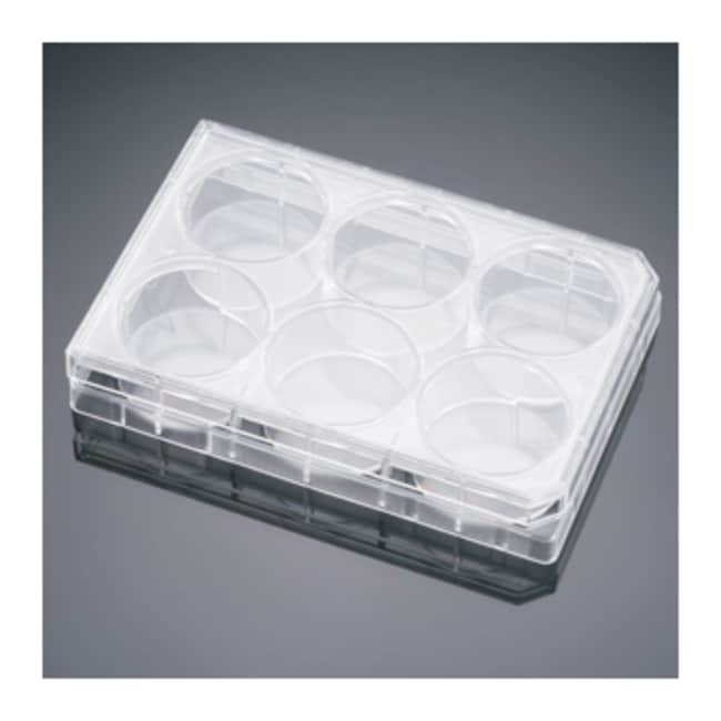 Corning BioCoat Collagen I Multiwell Pla