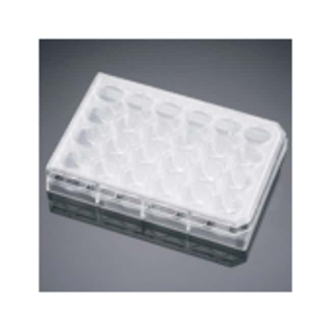 Corning BioCoat Collagen I Mehrfachwell-