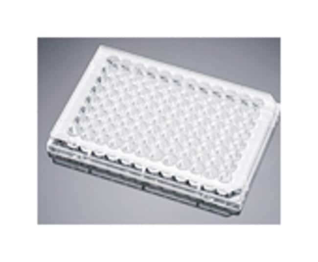 Corning BioCoat Collagen I Mehrfachwell-