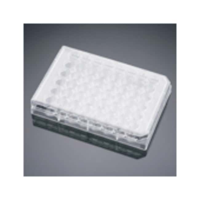 Corning BioCoat Collagen I Multiwell Pla