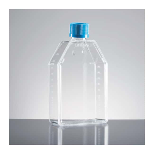Corning BioCoat Fibronectin IV rechtecki