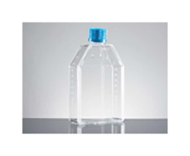 Corning BioCoat Poly-D-Lysine Kolben mit