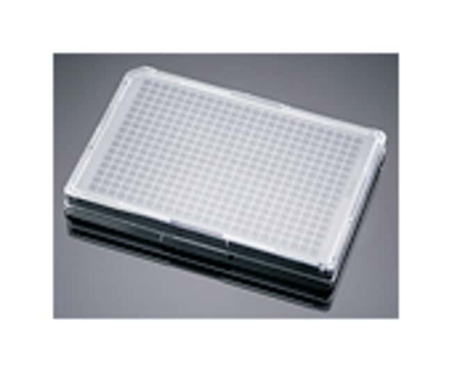 Corning BioCoat Poly-D-Lysine Multiwell