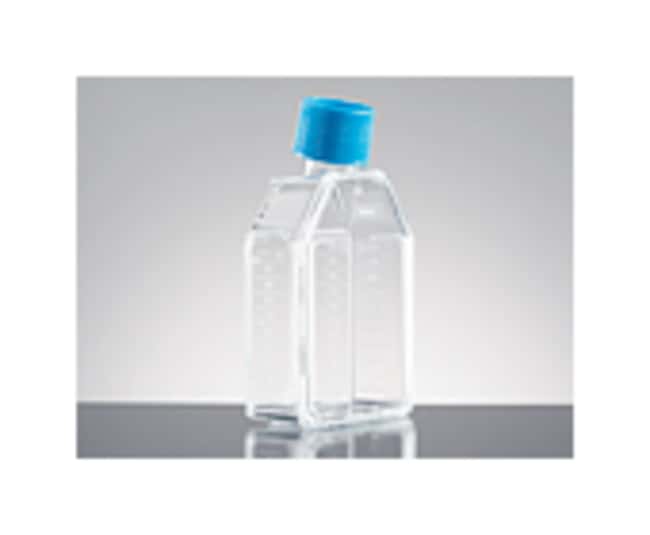 Corning BioCoat Poly-D-Lysine Kolben mit