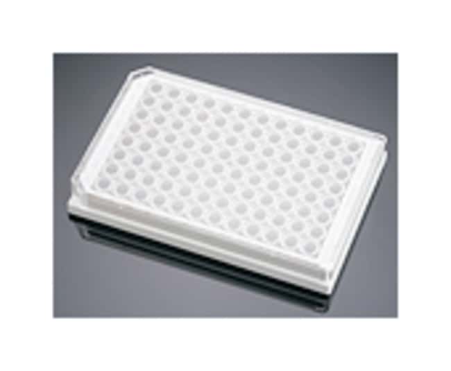 Corning BioCoat Poly-D-Lysine Multiwell