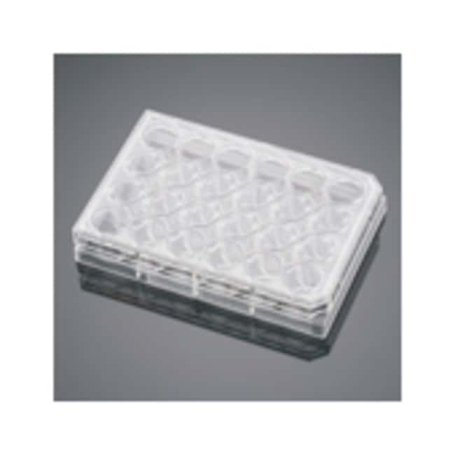 Corning BIOCOAT Fibrillares Collagen Ins