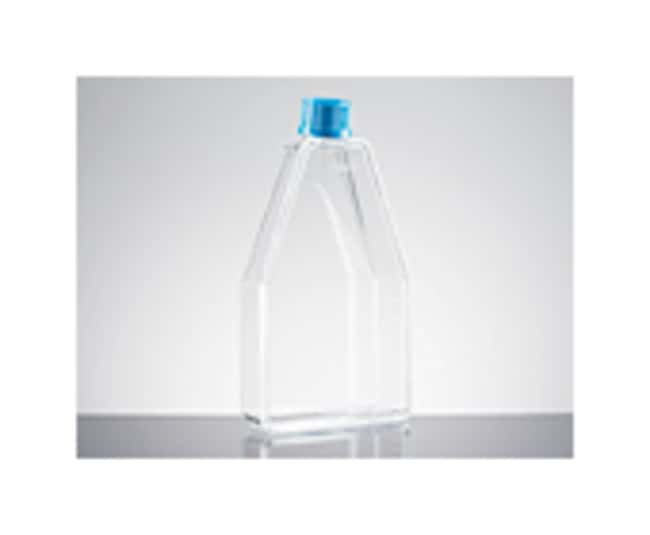 Corning BioCoat Poly-D-Lysine Kolben mit