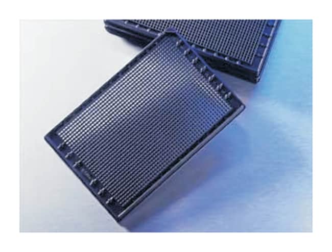 Corning 1536-Well NBS-behandelte Mikroti