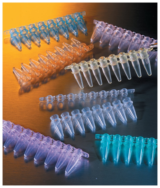 Corning 8-Well PCR Tube Strips, Transpar