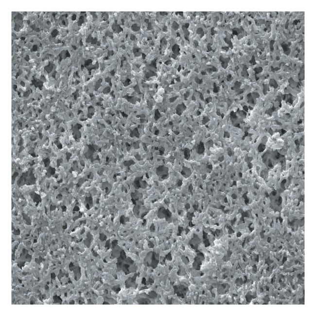 MilliporeSigma Hydrophile Nylon-Membranf