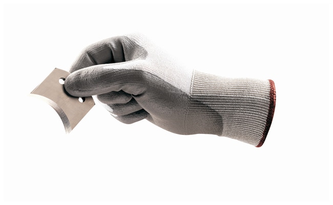 144PR Gloves HyFlex 11-644 size 10