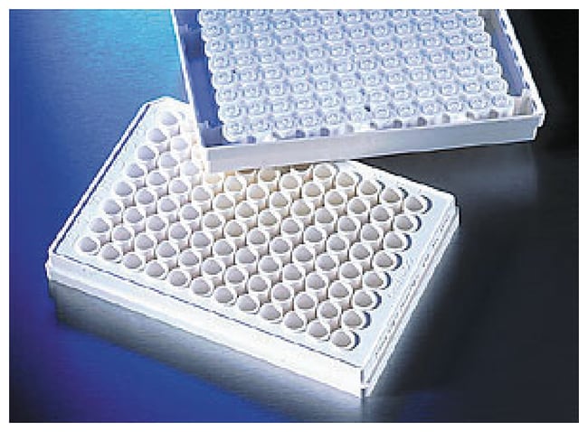 Corning FiltrEX Filterplatten, Nicht ste