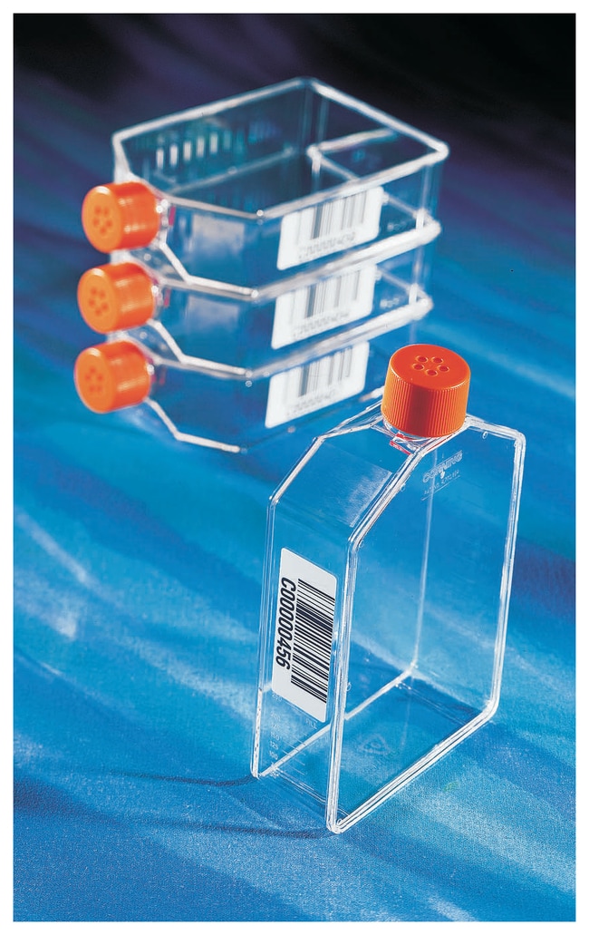 Corning Cell culture flasks Corning 175