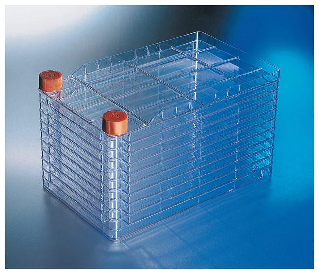 Corning CELLSTACK Kulturkammern, Menge: