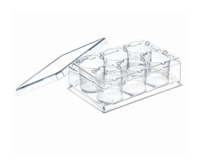 Greiner Bio-One ThinCert sterile Multiwe