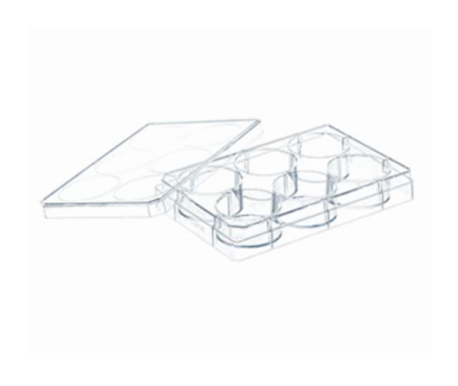 Greiner Bio-One CELLSTAR Zellkultur-Plat