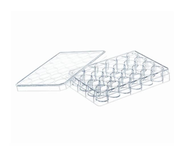 Greiner Bio-One CELLSTAR Zellkultur-Plat