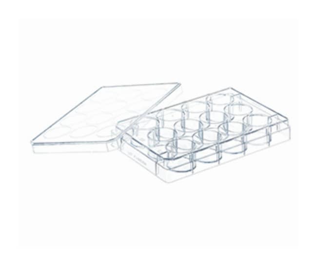 Greiner Bio-One CELLSTAR Zellkultur-Plat