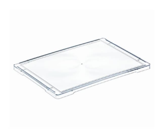 Greiner Bio-One Extrem flache Mikrotiter