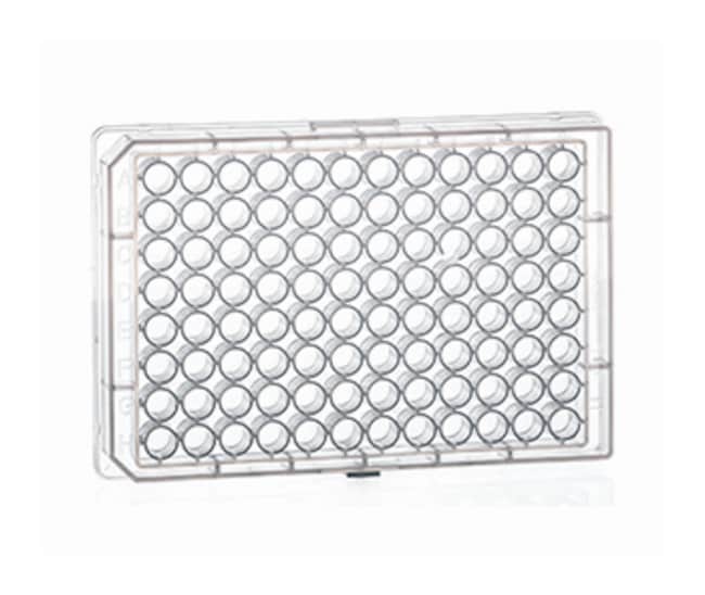 Greiner Bio-One 96-Well-Mikrotiterplatte