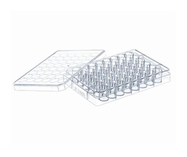 Greiner Bio-One CELLSTAR Zellkultur-Plat