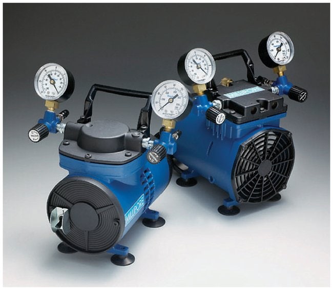 Chemical Duty Pump, 115 V/60 Hz
