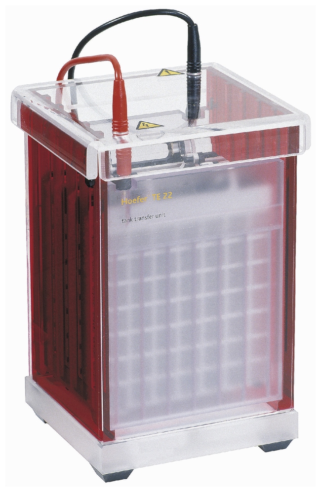 Hoefer TE22 Mini Tank Blotting-Einheit,