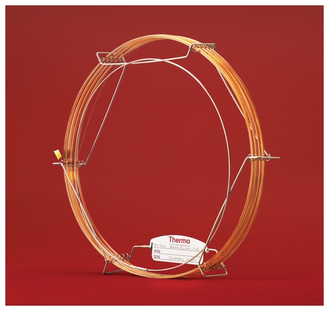 Thermo Scientific TRACE GC Saule fur Pes