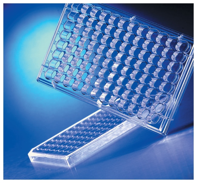 Corning Costar HTS Transwell 96-Well-Auf